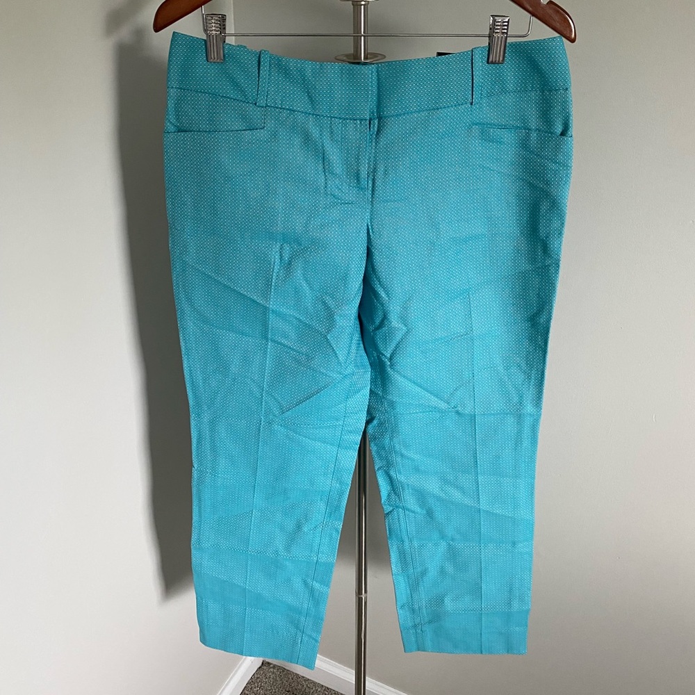 The Limited - Pencil Pant